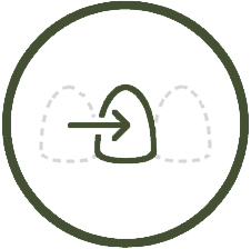button
