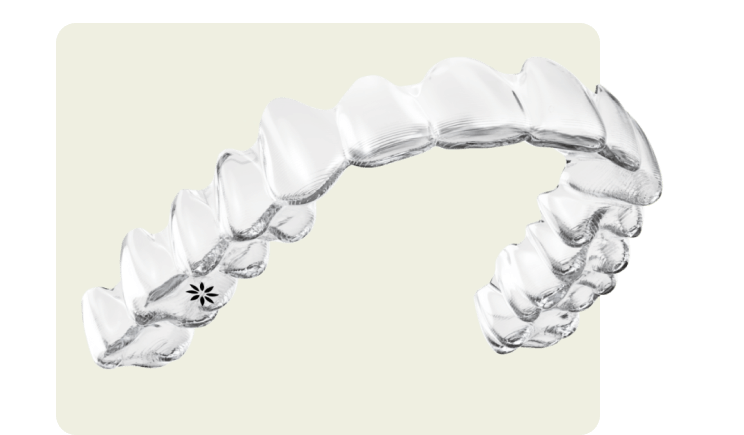Mona Vale Dental, your trusted dental care provider